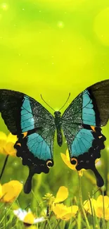 Blue butterfly and yellow flowers in vibrant green field.