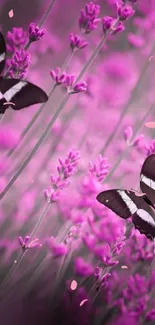 Butterflies flit among vibrant lavender blooms, creating a serene natural scene.