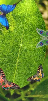 Colorful butterflies on a green leaf background.