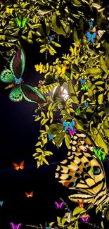 Colorful butterflies and green leaves mobile wallpaper.