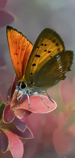 Butterfly resting on pink leaves with blurred background.