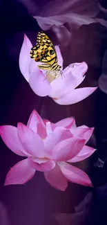 Butterfly perches on a pink lotus against a purple background.