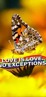 Colorful butterfly on yellow flowers with an inspiring love message.