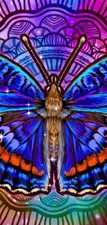 Vibrant butterfly mandala on colorful background.