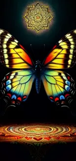 Vibrant butterfly and mandala art on a black mobile wallpaper.