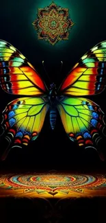 Colorful butterfly with mandala design.