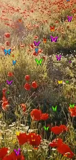 Colorful butterflies fluttering over a sunlit meadow with vibrant red flowers.