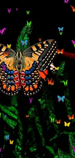 Vibrant butterfly wallpaper with colorful insects on a dark background.