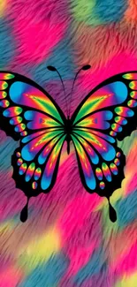 Vibrant butterfly with neon wings on colorful furry background.