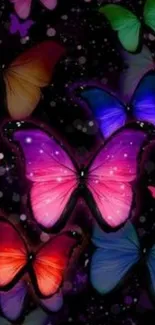 Colorful butterfly wallpaper with vibrant wings on a black background.