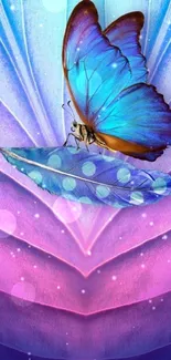 Vibrant blue butterfly on purple and blue background.