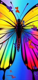 Vibrant rainbow-colored butterfly on a blue gradient background.