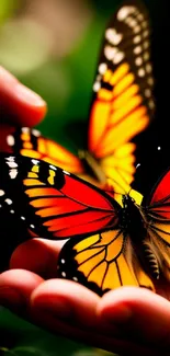 Close-up of vibrant orange and yellow butterflies on hands.