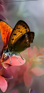 Vibrant butterfly on pink blossoms wallpaper.