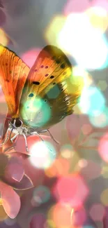 Bright orange butterfly with a bokeh background on phone wallpaper.