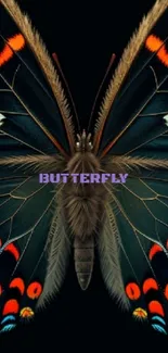 Vibrant butterfly wallpaper with vivid colors on a sleek black background.