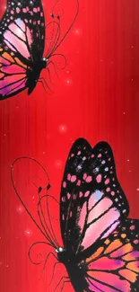 Two vibrant butterflies on a red background, perfect for mobile wallpaper.