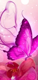 Pink butterfly on a floral background with dreamy effects.