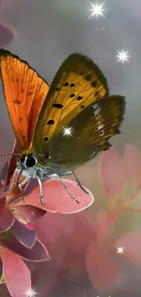 Vibrant butterfly on a pink flower with sparkles in the background.