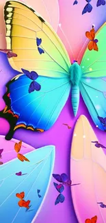 Vibrant butterfly with colorful wings on a pink background.