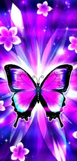 Vibrant butterfly with purple wings on a cosmic background.