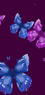 Blue and purple butterflies on a deep violet mobile wallpaper background.