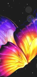 Vibrant butterfly on dark background, with radiant violet and orange hues.