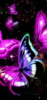 Glowing neon purple butterflies on a dark background.