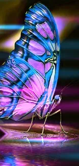 Vibrant butterfly with purple and blue wings on a reflective surface.