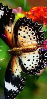 Vibrant butterfly on flowers with glowing streaks, perfect for mobile wallpaper.