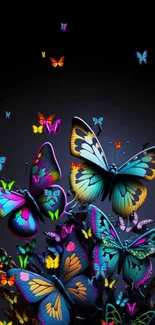 Vibrant butterflies on dark background, perfect for mobile wallpaper.