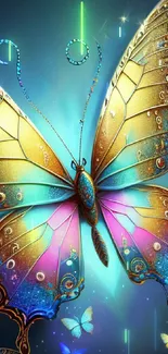 Vibrant butterfly with colorful wings on a blue and gold background.