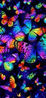 Vibrant colorful butterflies on a dark background wallpaper.