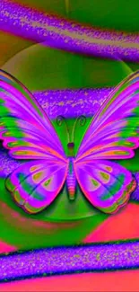 Colorful butterfly on psychedelic background wallpaper.