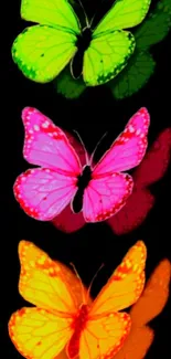 Vibrant neon butterflies on black background wallpaper.