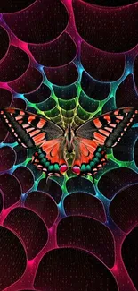 Vibrant butterfly with colorful abstract background.