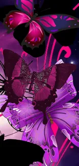 Purple and pink butterflies on a vibrant night-themed background.