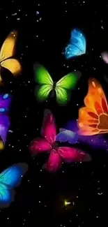 Colorful butterflies on a black night sky background.