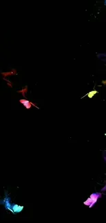 Colorful glowing butterflies on a dark background.
