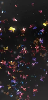 Colorful butterflies on a black background wallpaper.