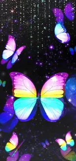 Colorful butterflies on a sparkling dark background.