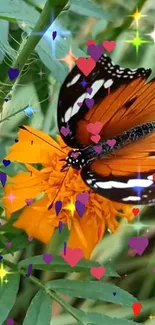 Butterfly on orange flower with hearts and stars.