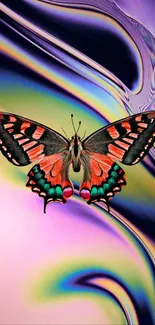 Vibrant butterfly on abstract vivid background.