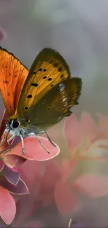 Vibrant butterfly resting on autumn leaves with blurred background.