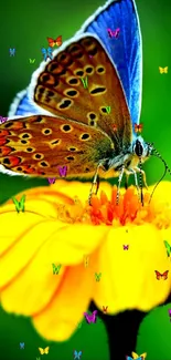 Butterfly perched on a vibrant yellow flower, against a green background.