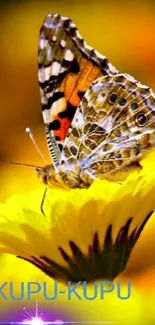 Butterfly resting on a yellow flower, vibrant background.