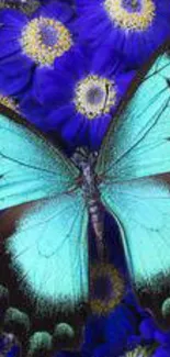 Vibrant turquoise butterfly on blue flowers.