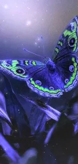 Vibrant butterfly perched on blue-tinted leaves with green accents.