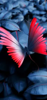 Vibrant red butterfly on dark blue leafy background wallpaper.