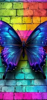 Vibrant butterfly on colorful brick wall wallpaper.